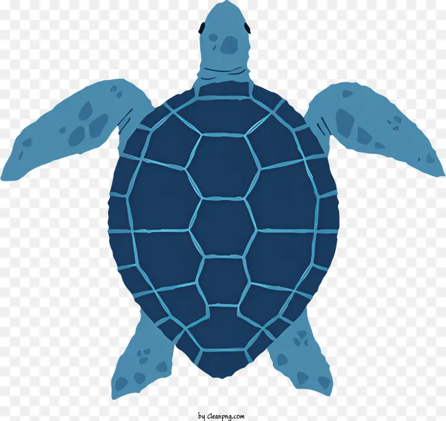 Cartoon Turtle Turtle Reptile Wasserschildkröte - 