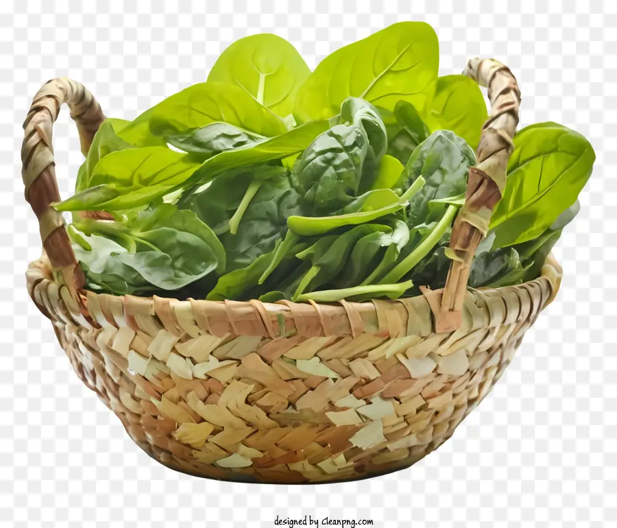 cibo sano - Raccogli vibranti e freschi di spinaci nel cestino della paglia