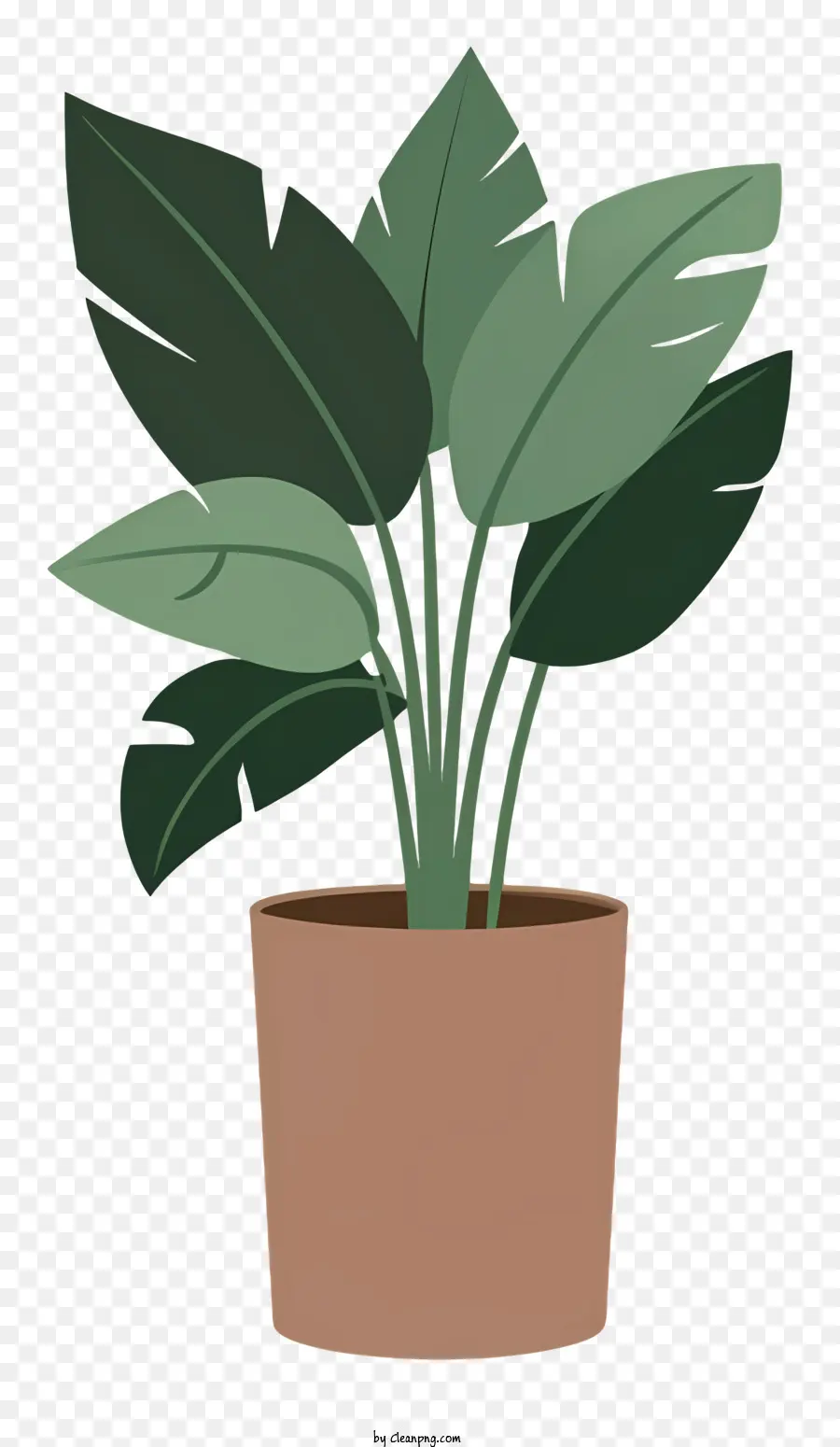 pianta in vaso foglie grandi piccole foglie verdi stelo terreno in vaso - Pianta in vaso con grandi foglie in pentola di argilla