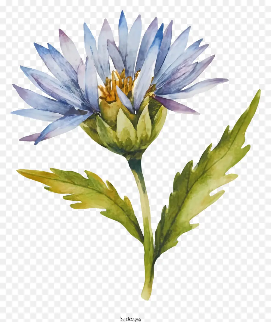Blaue Blume - Lebendige, realistische blaue Blume mit zarte Textur