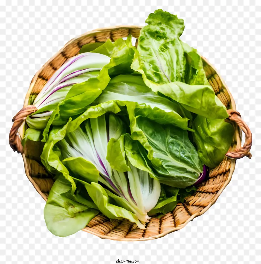 Salat grün gesunder frischer Korb - Frischer, gesunder Salat in einem kontrastierenden Hintergrund
