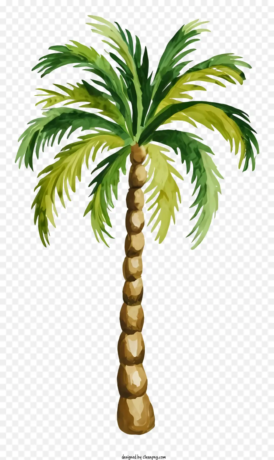 Palmbaummalerei - Tropische hohe Palmemalerei auf schwarzem Hintergrund