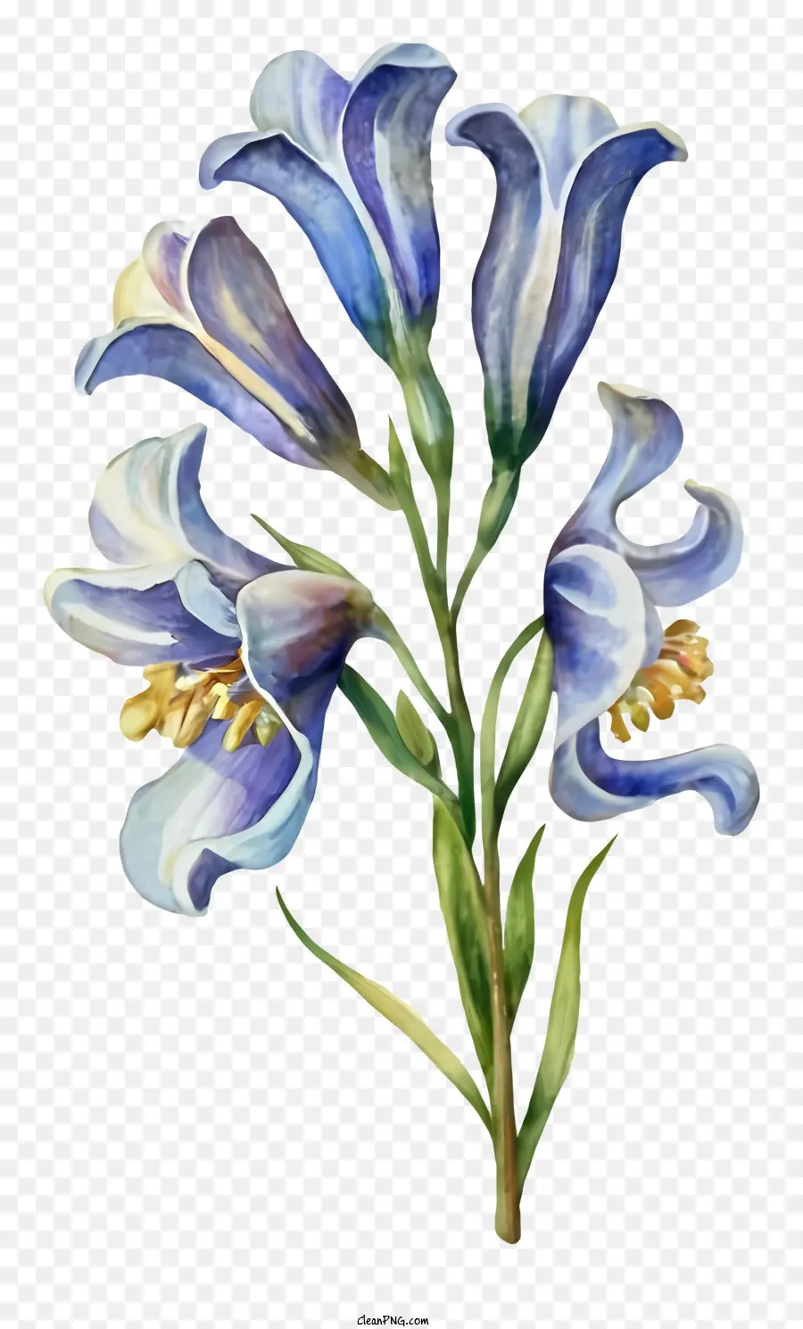 Blaue Blume - Aquarellmalerei von blauer Blume mit gekräuselten Blättern