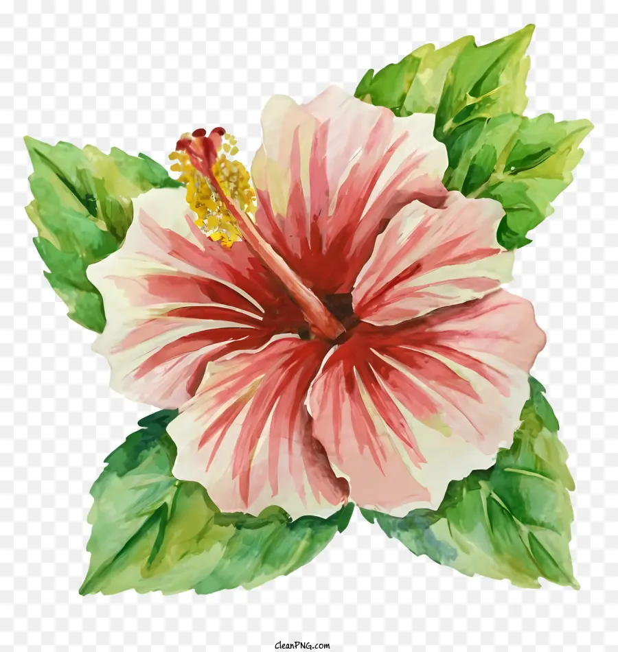Blume Malerei - Lebendige, gut definierte Aquarellmalerei von Hibiskusblume
