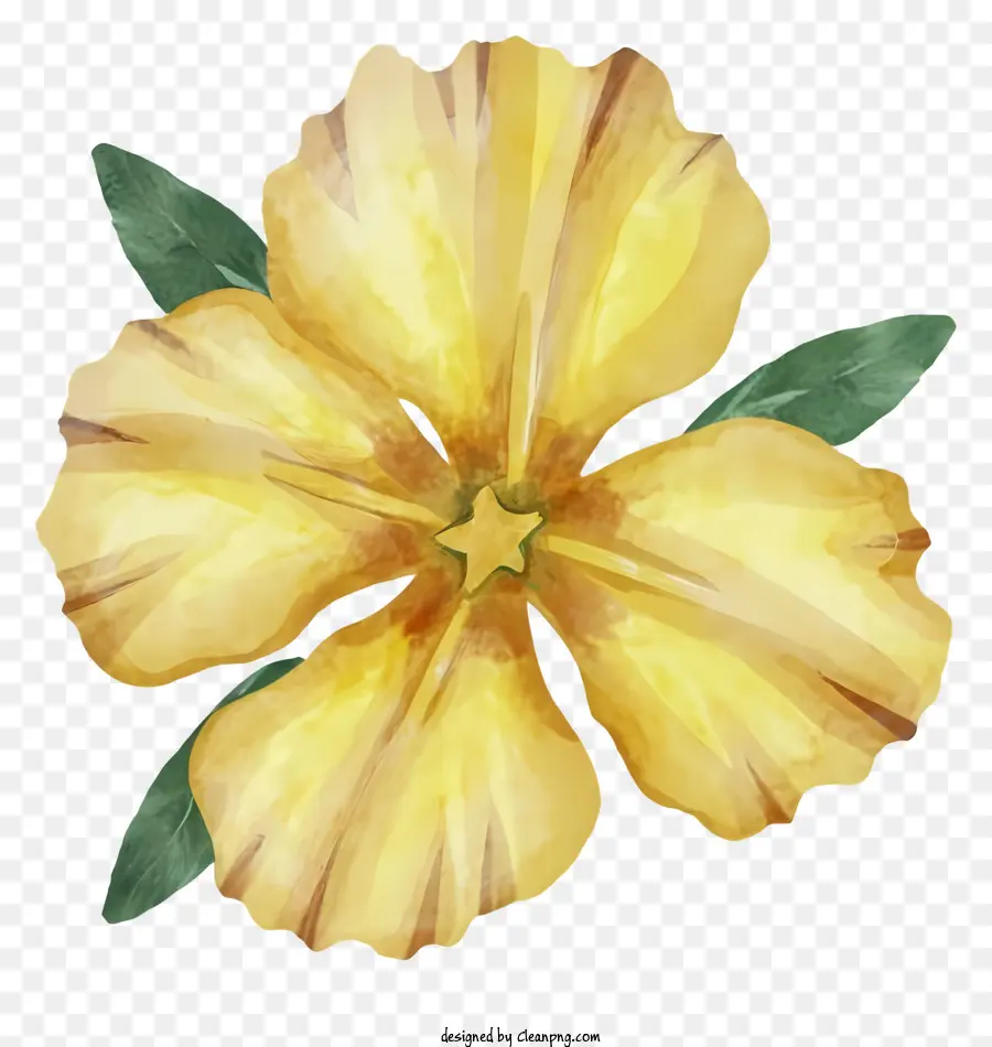 gelbe Blume - Nahaufnahme der gelben Blume mit grünen Blättern