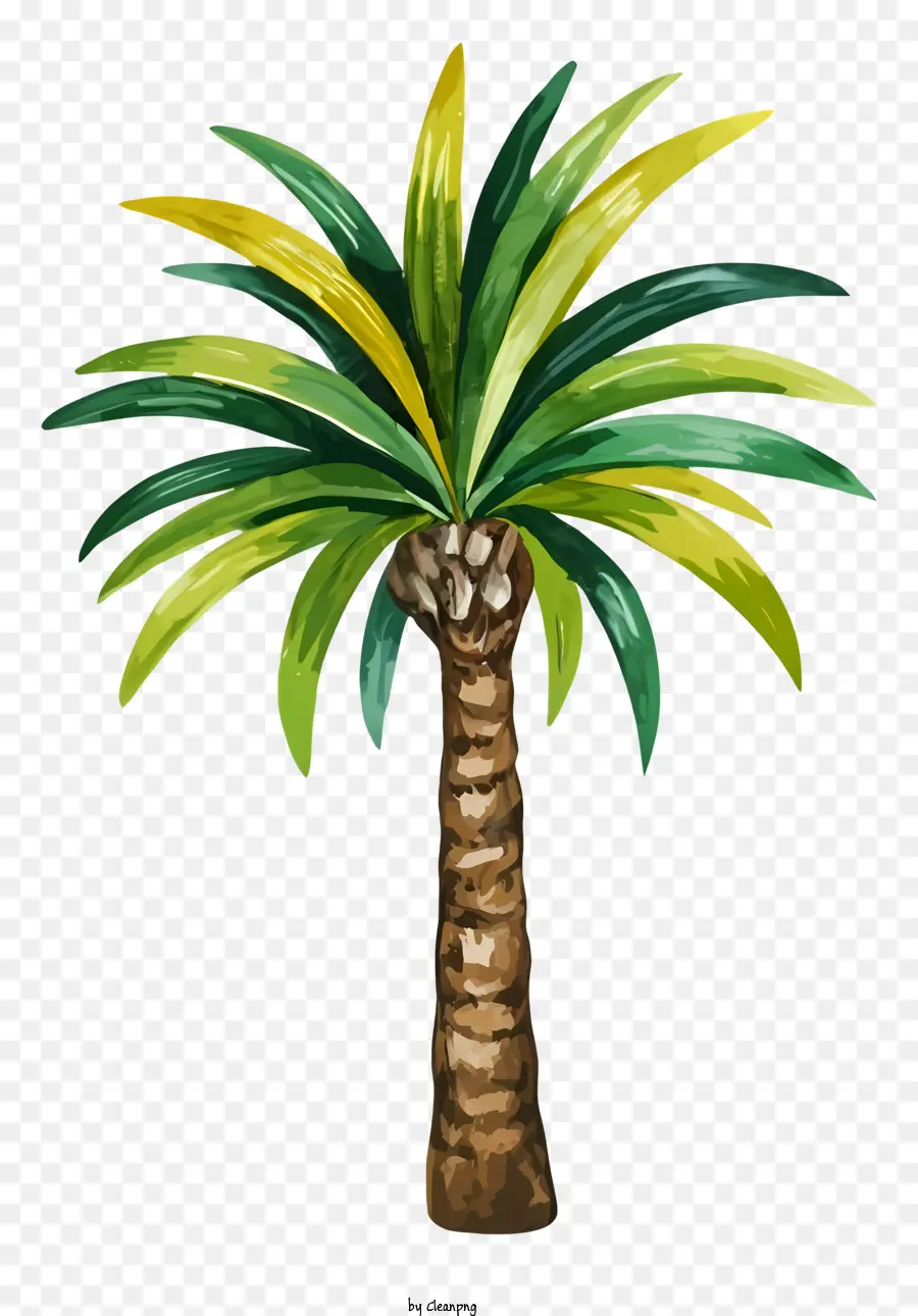 albero di palma - Immagine dipinta a mano di palme sullo sfondo nero