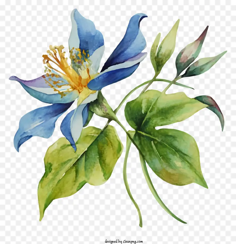 hoa màu xanh - Hoa màu xanh rực rỡ được bao quanh bởi những chiếc lá màu xanh lá cây
