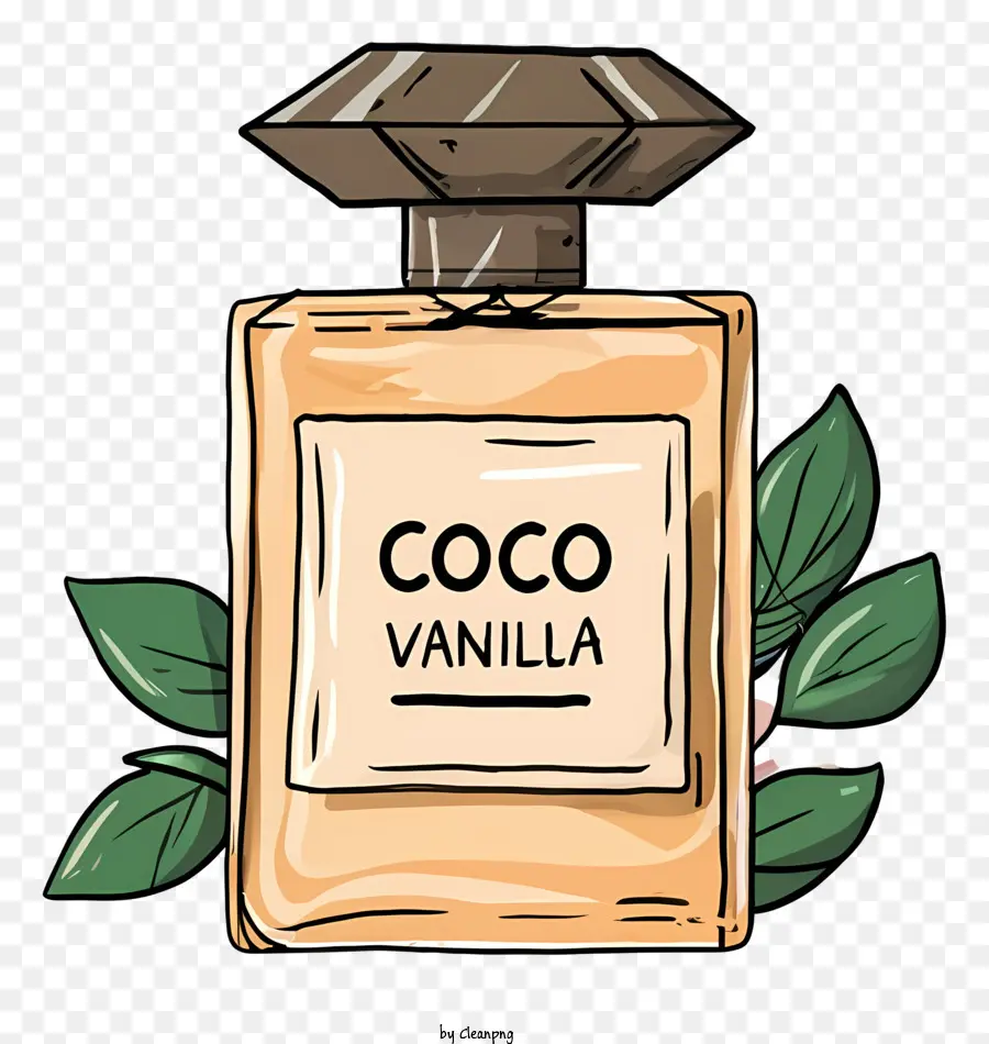 Olio di cocco Coco vaniglia Capo di bottiglia Black Sfondo - Bottiglia d'olio di cocco con etichetta di vaniglia Coco