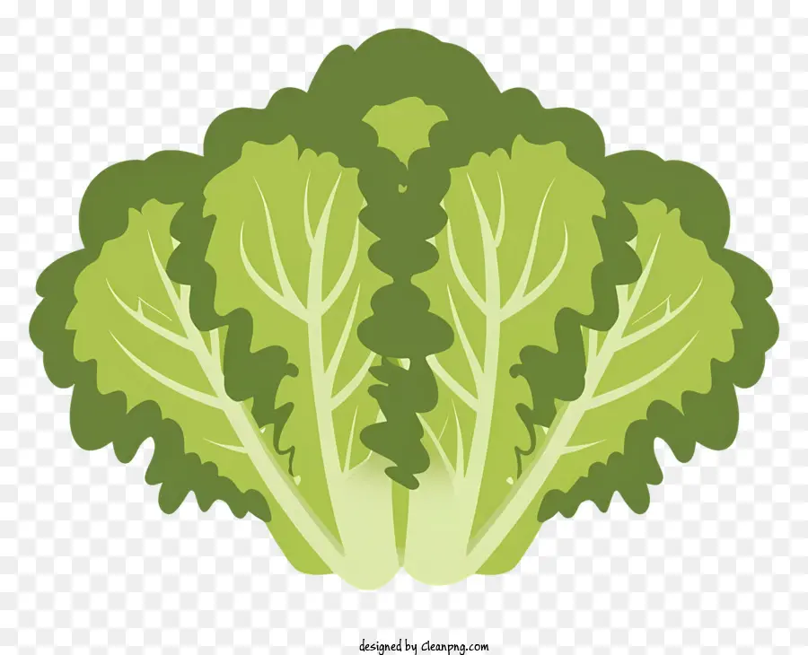 leafy green plant large leaves small leaves bright green background ground plant