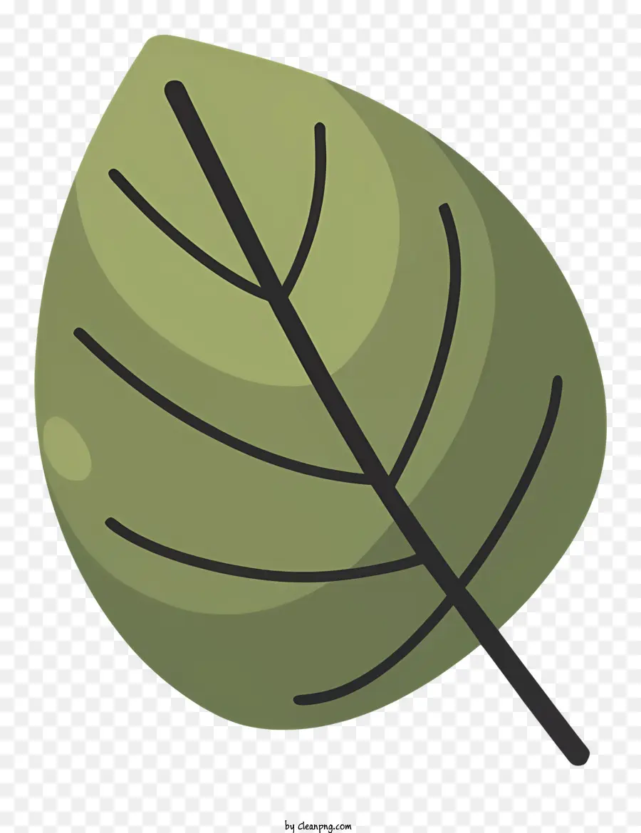 grünes Blatt - Beschreibung: grünes Blatt - dünn, länglich, glatt, spitz, dunkel, flach