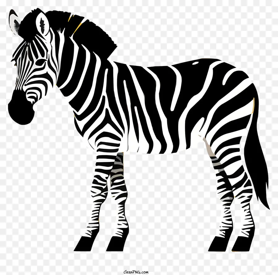 Zebra Black and White sọc vẽ động vật của Savannah hùng vĩ - Zebra đen trắng đứng duyên dáng