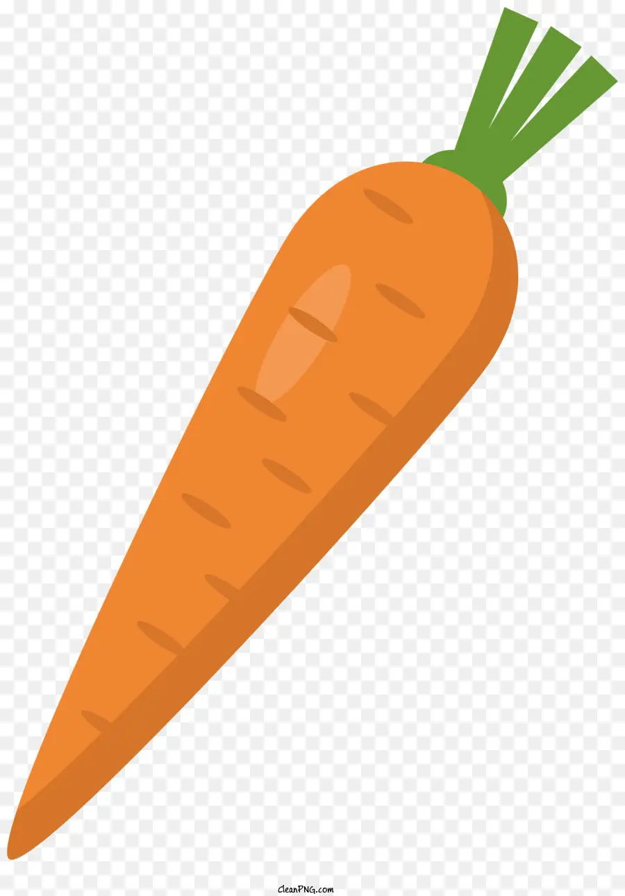 Orange - Realistische orangefarbene Karotte mit grünen Blättern sitzen