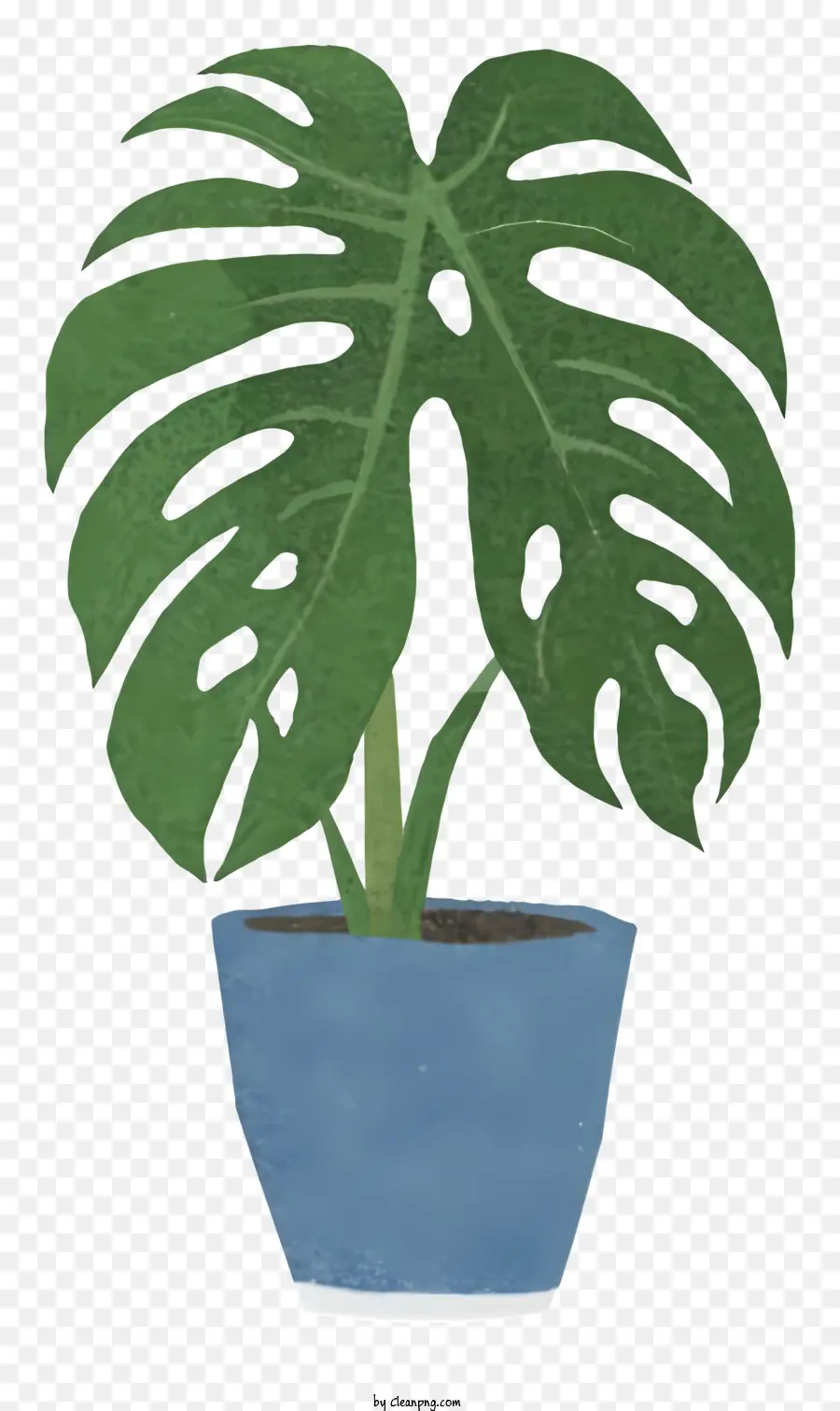 Großer blauer Topf Grüne Blattpflanze Leanpflanze ausbreiten Blätter blau getönter Topf - Großer blauer Topf mit grüner Blattpflanze