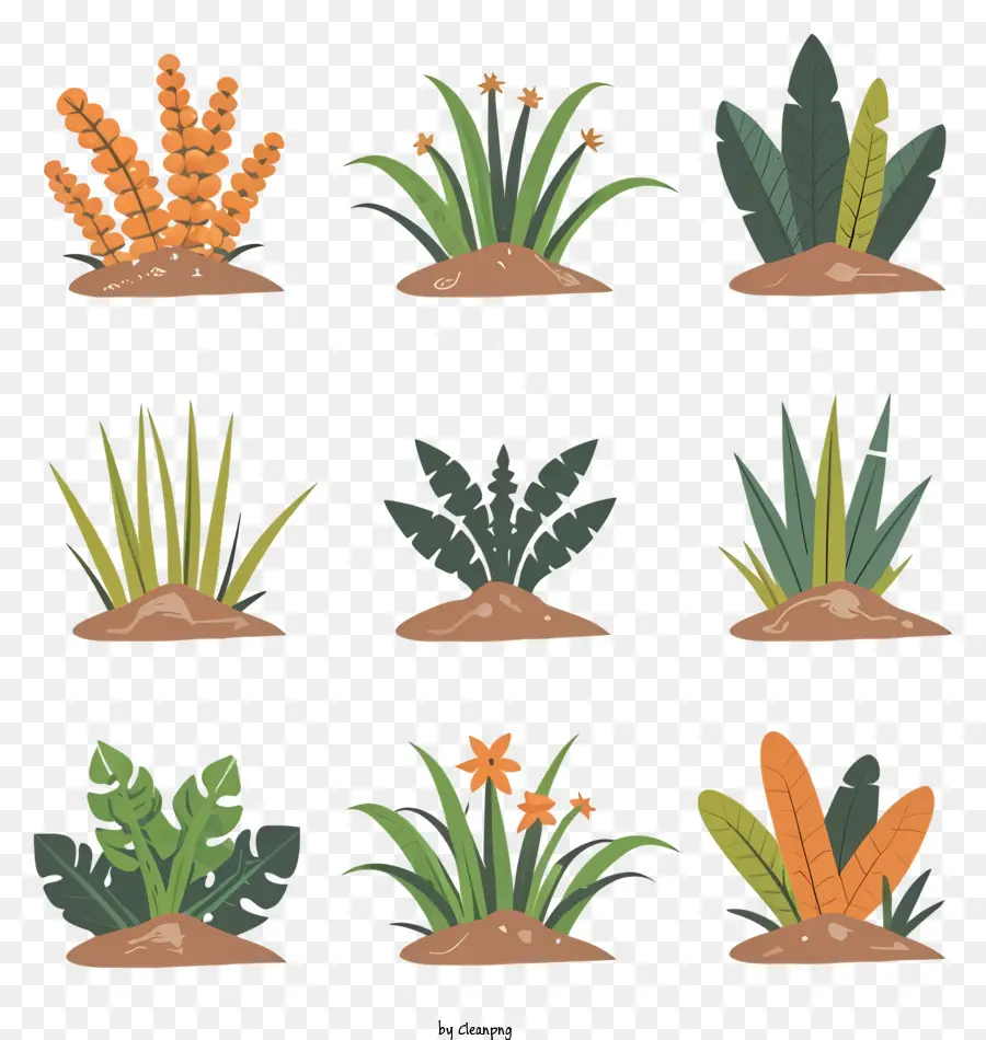 Pflanzen Arten von Pflanzen Blumen grüne Pflanzen hohe Pflanzen - Verschiedene Pflanzen im Boden, einige blühen, einige hoch