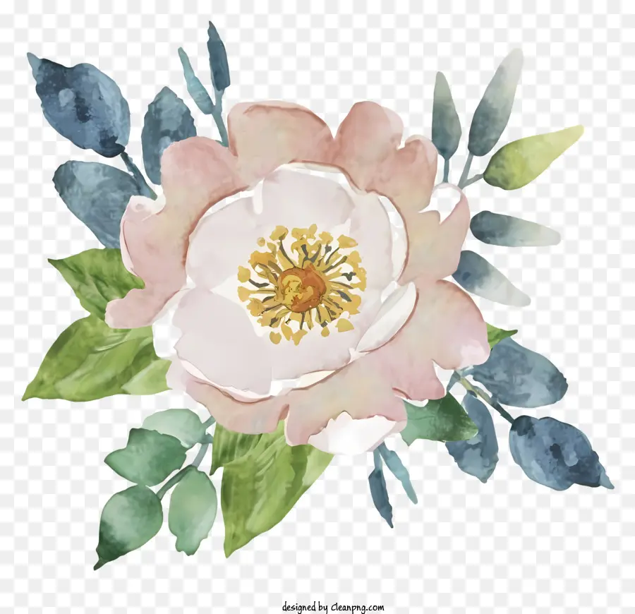 hoa hồng - Hoa hồng với lá màu xanh lá cây trên nền đen