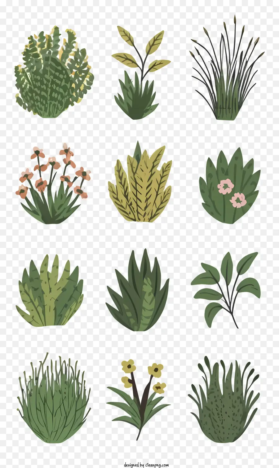 piante verdi felci lille gigli piante realistiche - Piante realistiche e diverse disposte organicamente con complessità