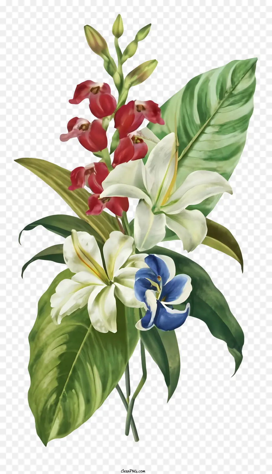 Blumenstrauß rot weiß blauer Blüten schwarzer Hintergrund - Rouquet aus roten, weißen und blauen Blüten in der Vase