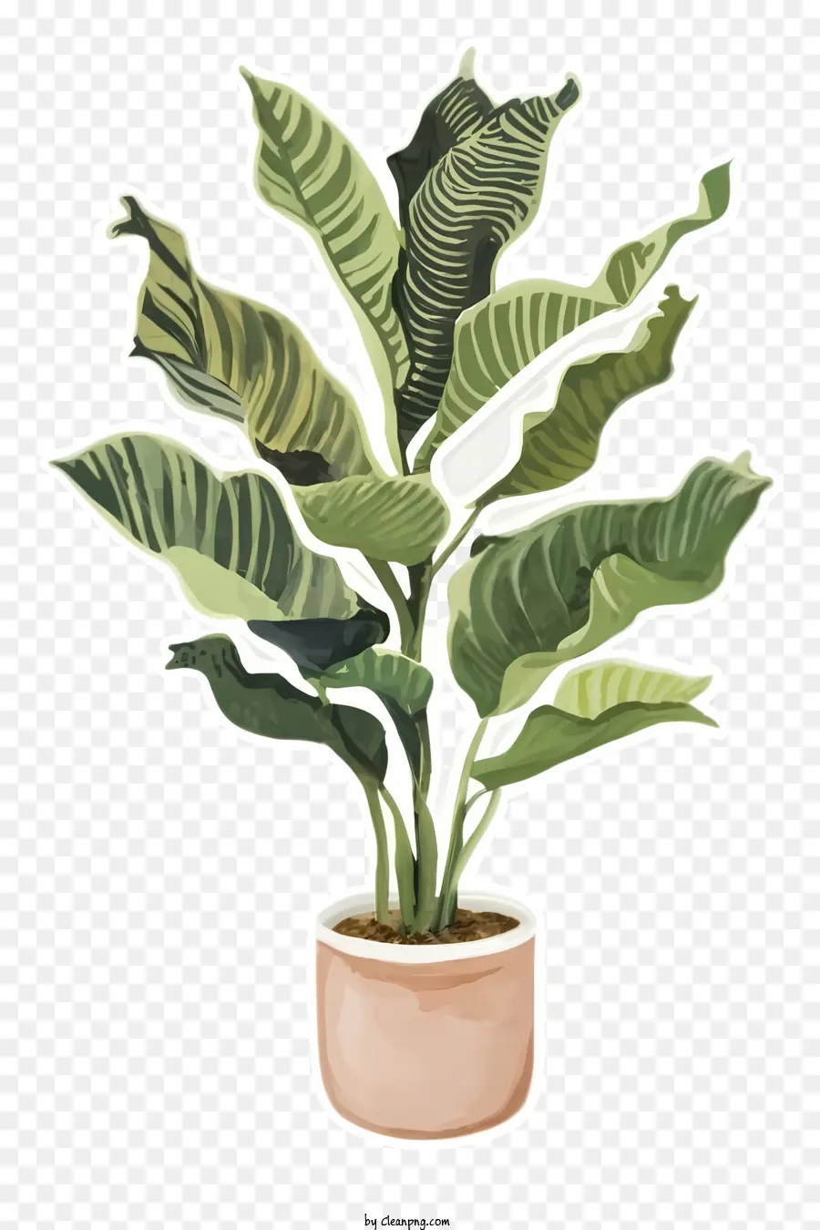 large leafy plant green leaves brown stem round pot pink pot
