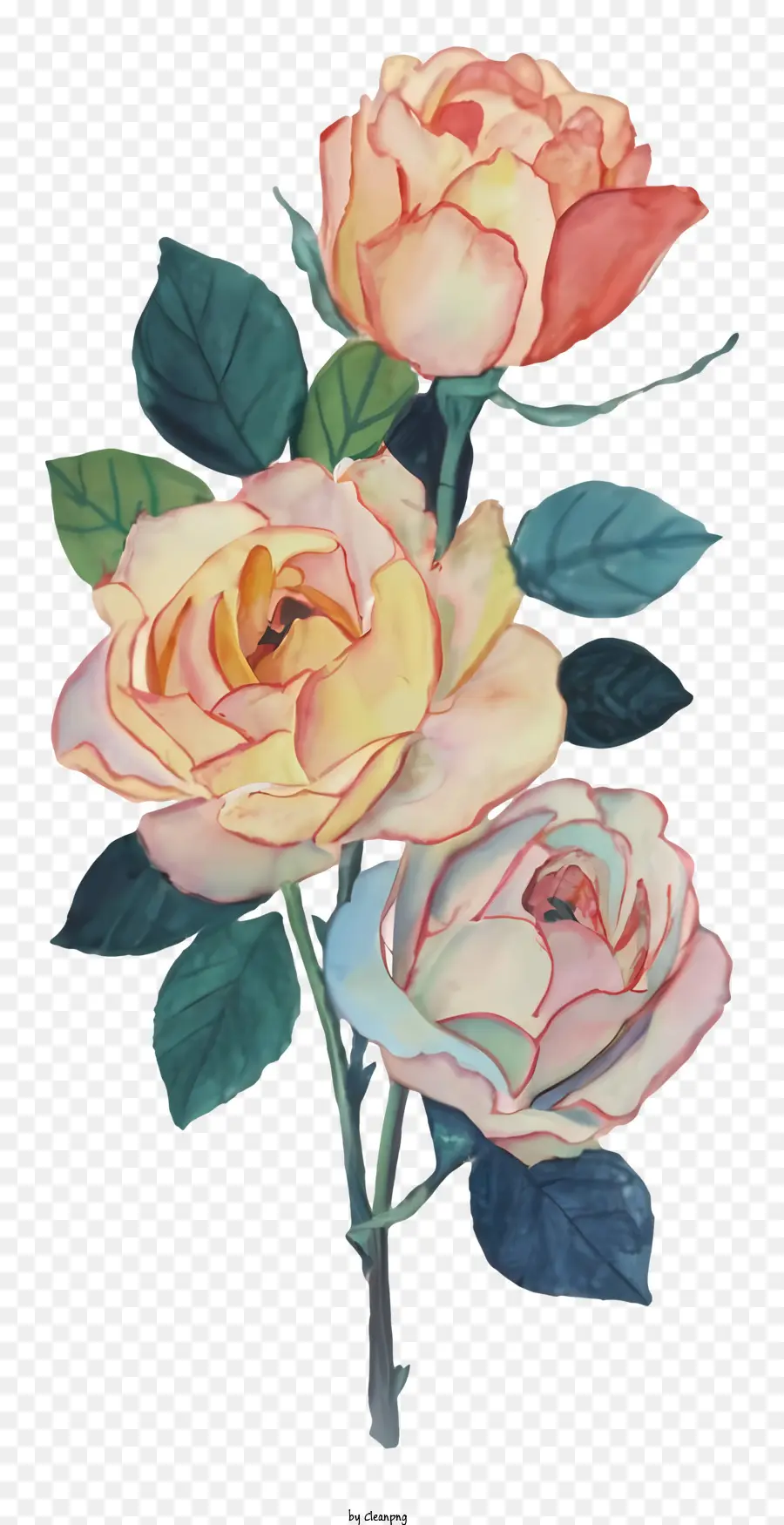 la disposizione dei fiori - Tre rose: rosso, pesca, giallo; 
rivolto a sinistra