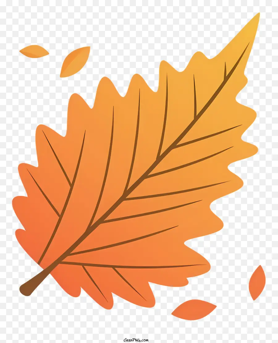 fall leaf vector graphic flat design orange leaf pointed tip fall leaf non-transparent leaf design non-3d flat leaf design
