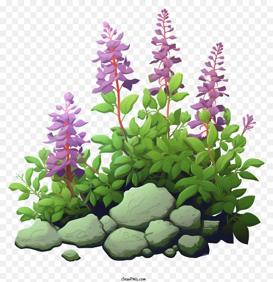 purple flowering plants rocks grassy field upwards sky