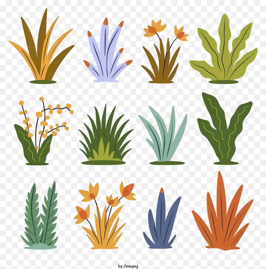 piante foglie steli fiori gemme - Disposizione circolare di illustrazioni piane piatte piatte e colorate