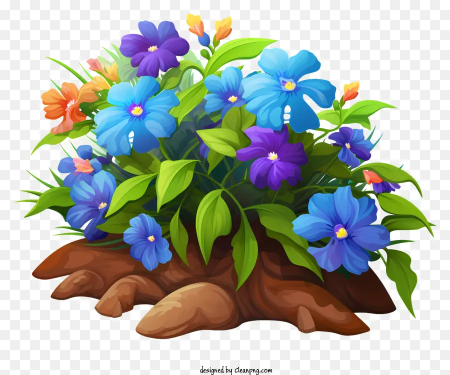 la disposizione dei fiori - Fiori colorati in pentola a piante, circondati da rocce
