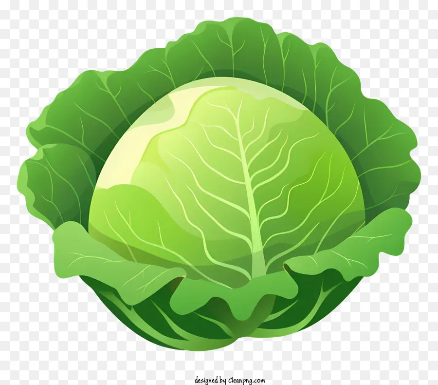 Cavolo vegetale verde a foglia verde Black Black Black Fine a punta vegetale piatta - Vegetale verde piatto su sfondo nero con estremità appuntita
