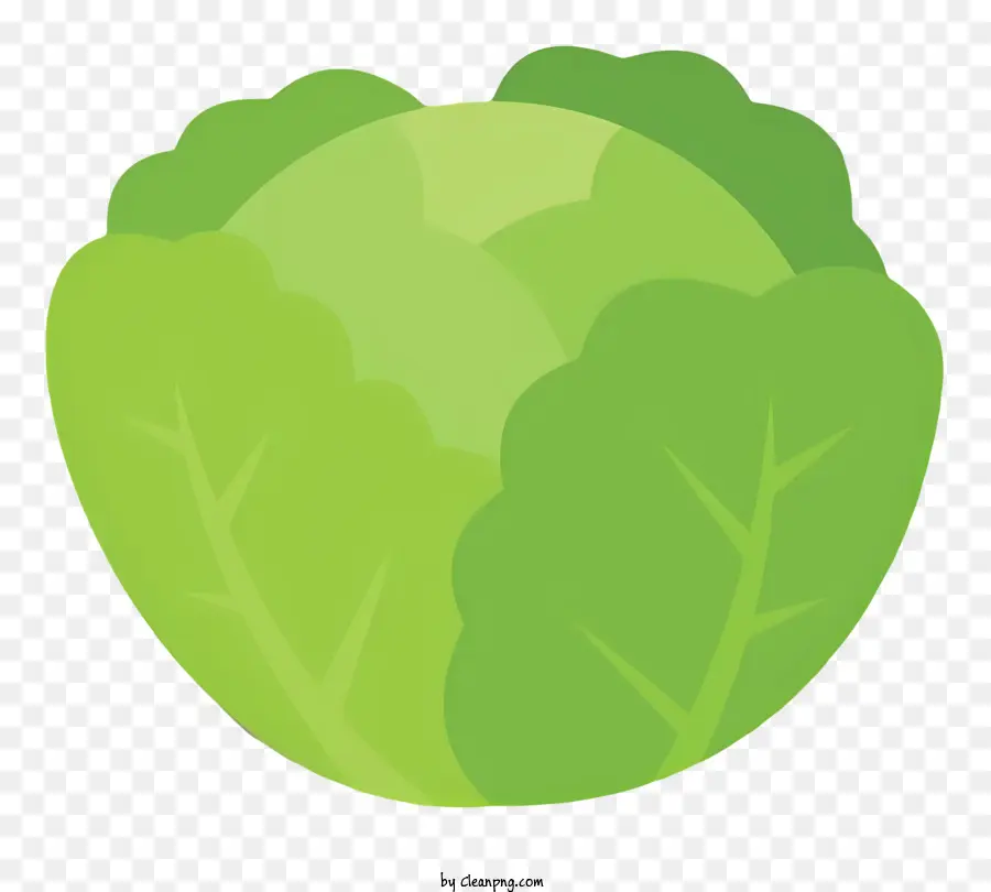 lá bắp cải xanh lá bắp cải xanh lá xanh - Lá bắp cải xanh được sử dụng trong các món ăn