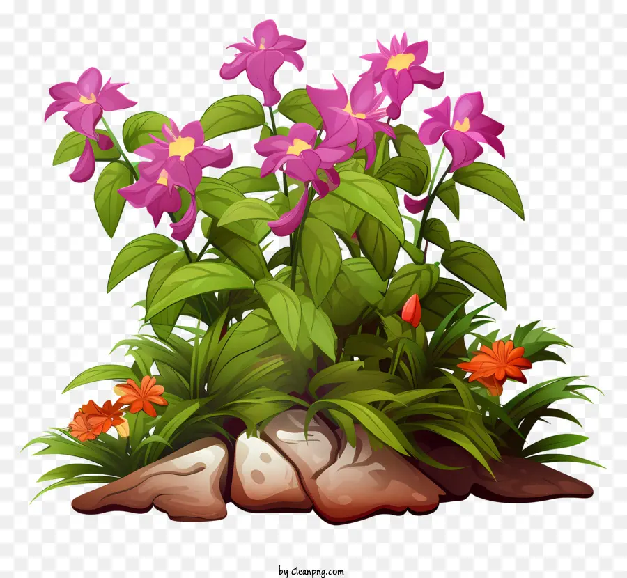 pink flowers rocky ground green plants bright and colorful flowers peaceful scene