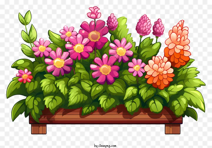 Blumengarten - Bunte Blumen, die im Holzkastengarten angeordnet sind