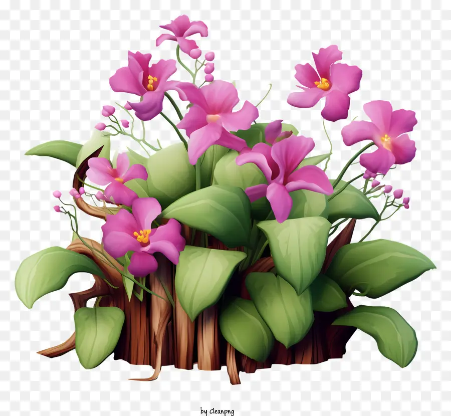 la disposizione dei fiori - Pianta di fiori rosa nel vaso del bagagliaio di legno
