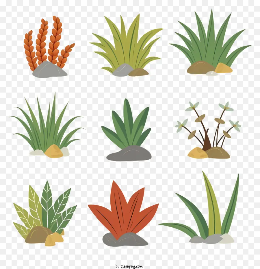 Pflanzen Farne Sukkulenten Kakteen grüne Pflanzen - Neun Pflanzen in verschiedenen Farben und Stilen