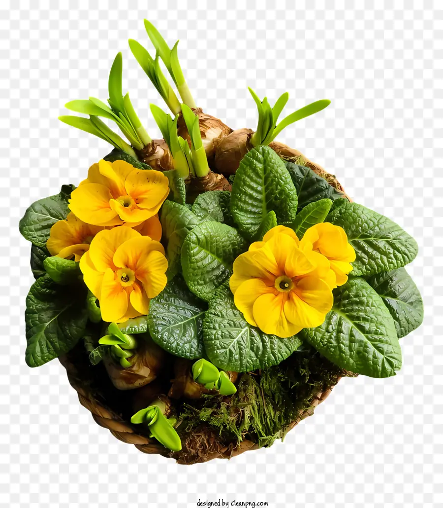 Gesteck - Runder Strohkorb mit blühenden gelben Blüten