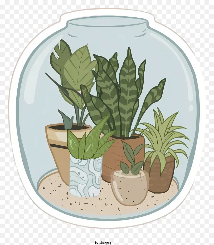 piante d'acquario piante acquatiche rocce acquatiche piante sommerse piante in vaso per acquario - Acquario ben mantenuto con varie piante e rocce