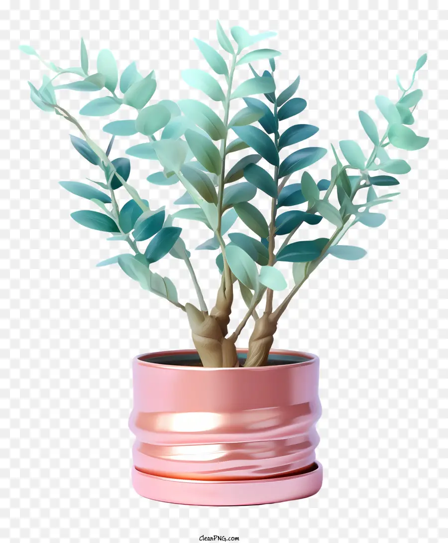 Piccola pianta in vaso foglie verdi foglie di pianta interno sfondo nero - Piccola pianta in vaso con foglie verdi, sfondo nero