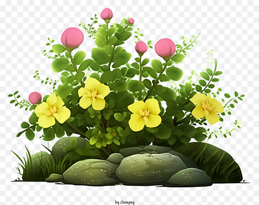 Garten, Blumen - Blumenpflanze auf felsigem Hintergrund mit Grün