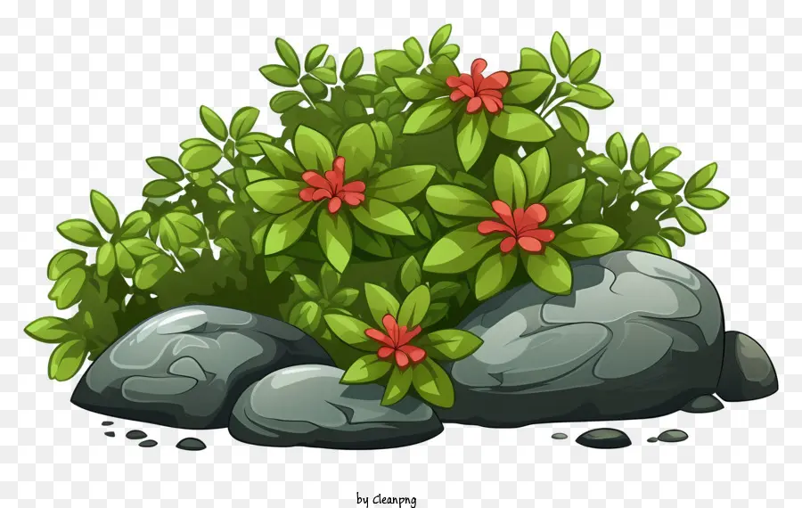 Fiori rossi di boscaglia verde mucchio di rocce foglie verdi rocce grigie - Bush verde con fiori rossi sulle rocce