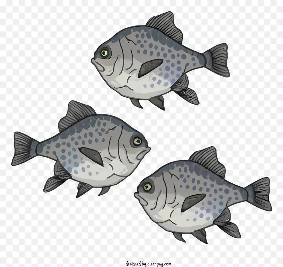 Pince di pesce dimensioni per le pinne degli occhi da nuoto - Tre pesci che nuotano nella stessa direzione, dimensioni diverse