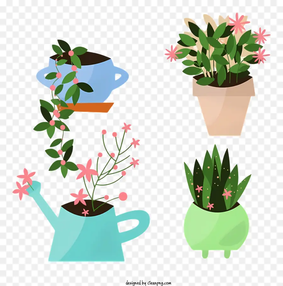 piante piante in vaso di fiori di serra - Tre piante, viti e una lattina di irrigazione