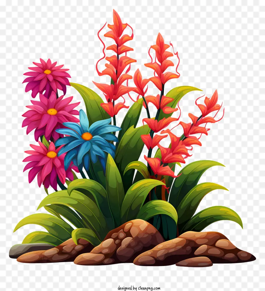 Fiori Da Giardino - Aiuoli colorati con vari tipi di fiori