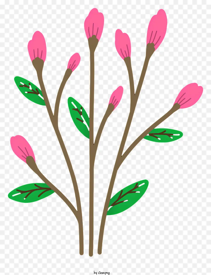 fiori illustrazione - Fiore rosa con gambo verde su sfondo nero