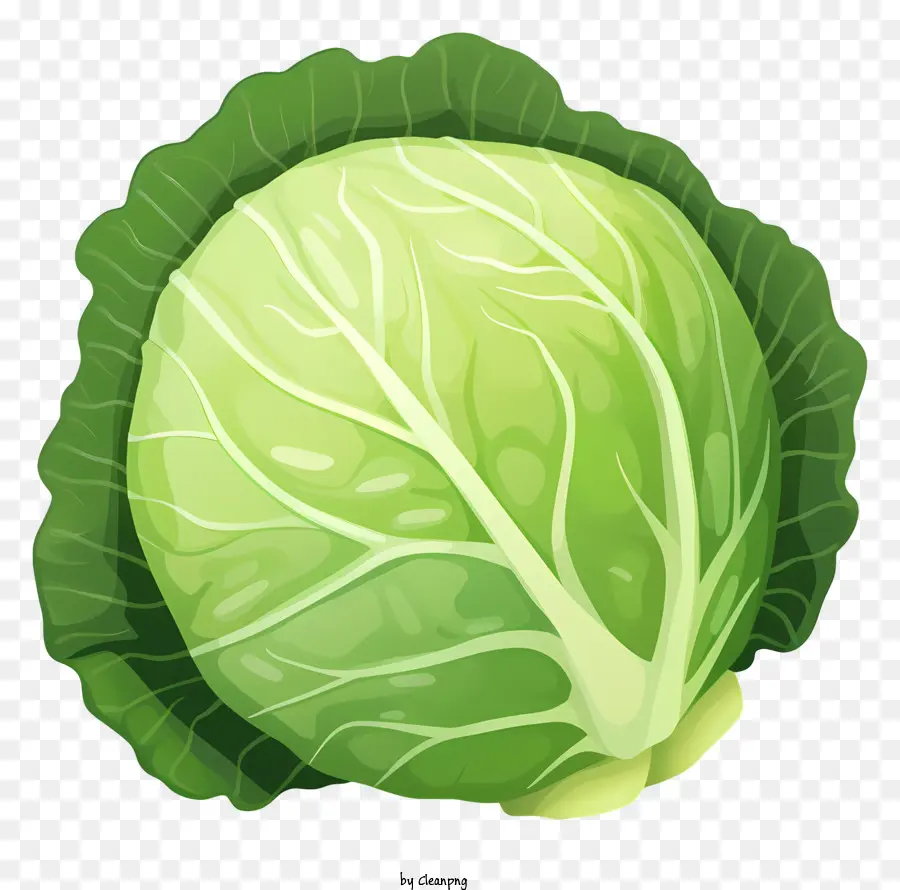 green cabbage shiny leaves stem bright green bumpy stem