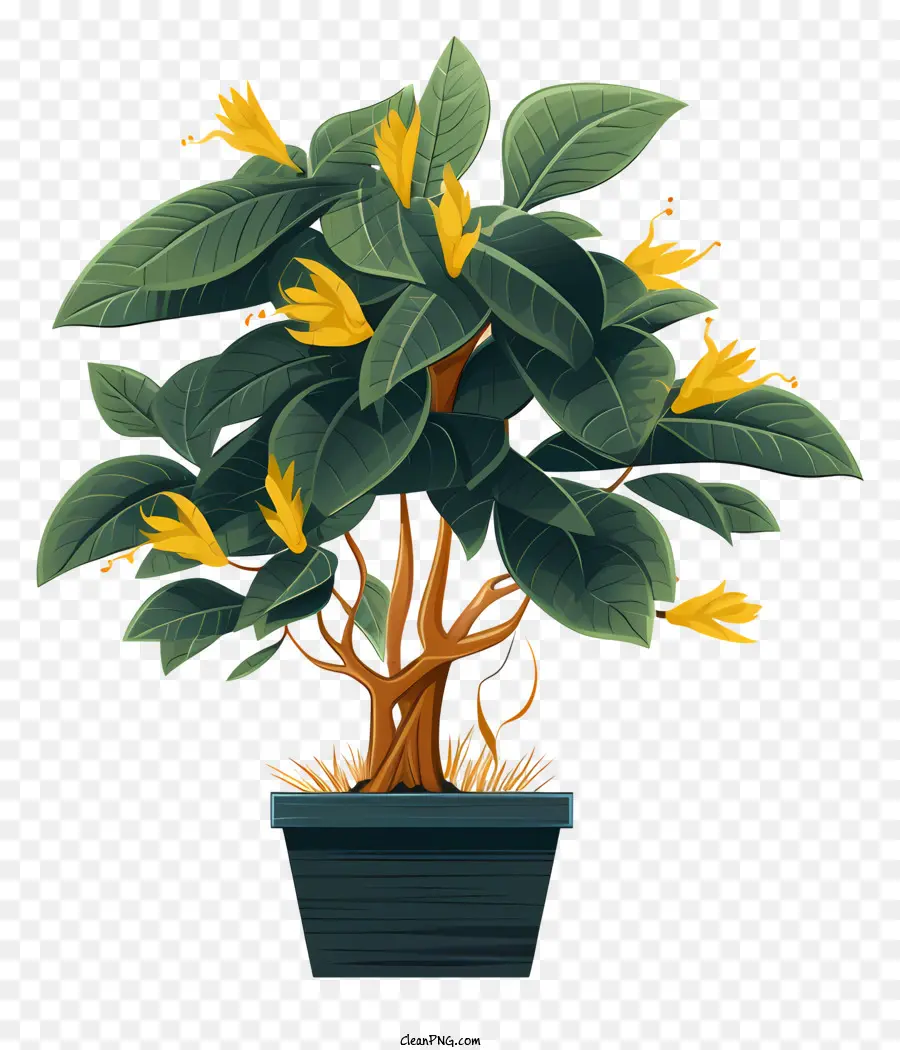 foglie cadute - Grande pianta in vaso con foglie verdi e fiori