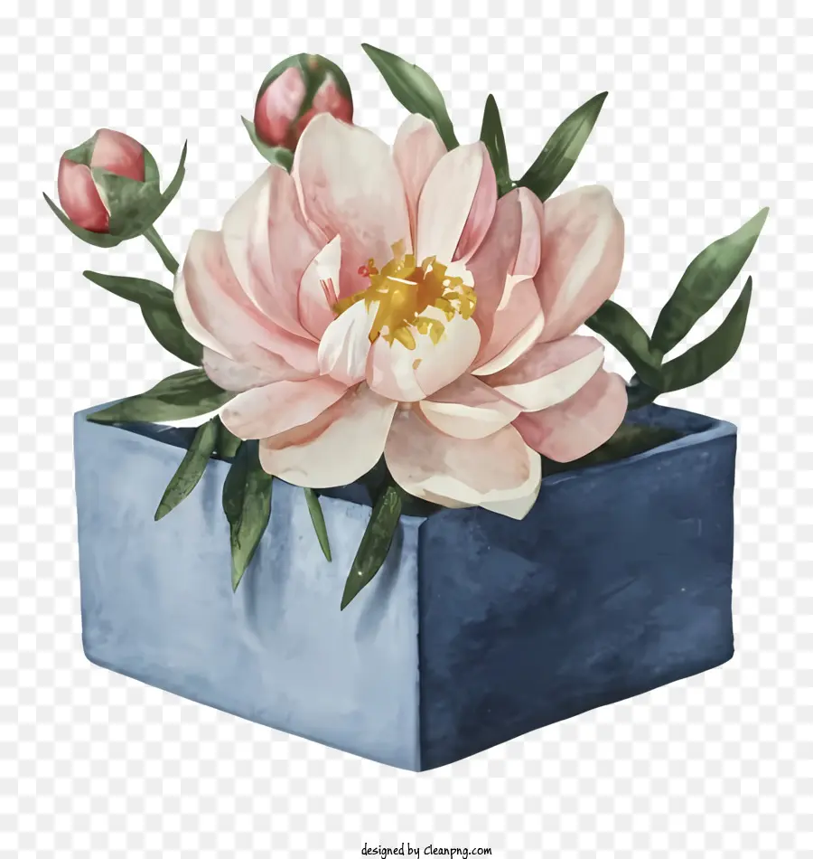 fiore rosa - Fiore rosa in vaso blu con nastro