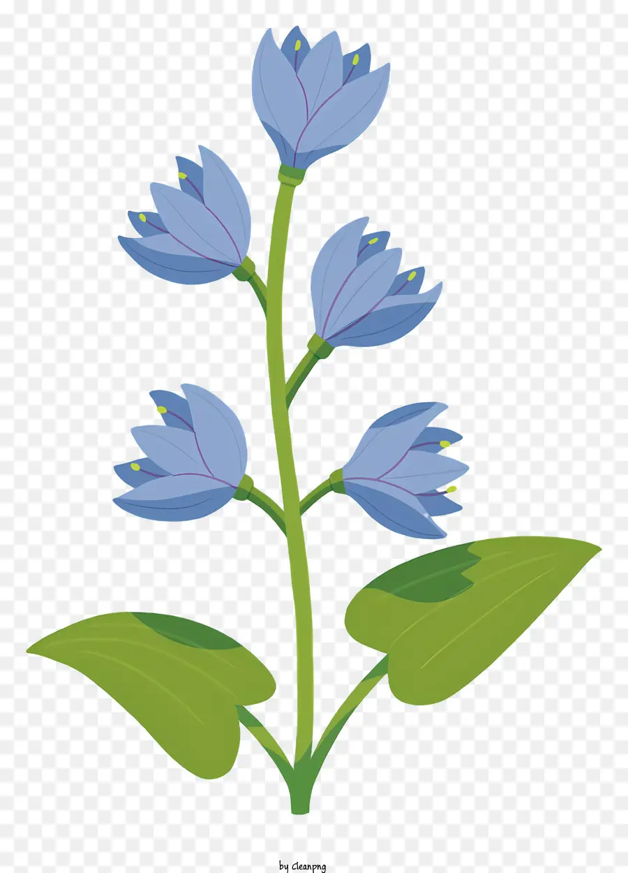 Blaue Blume - Blaue Blume mit kreisförmiger Anordnung von Blütenblättern
