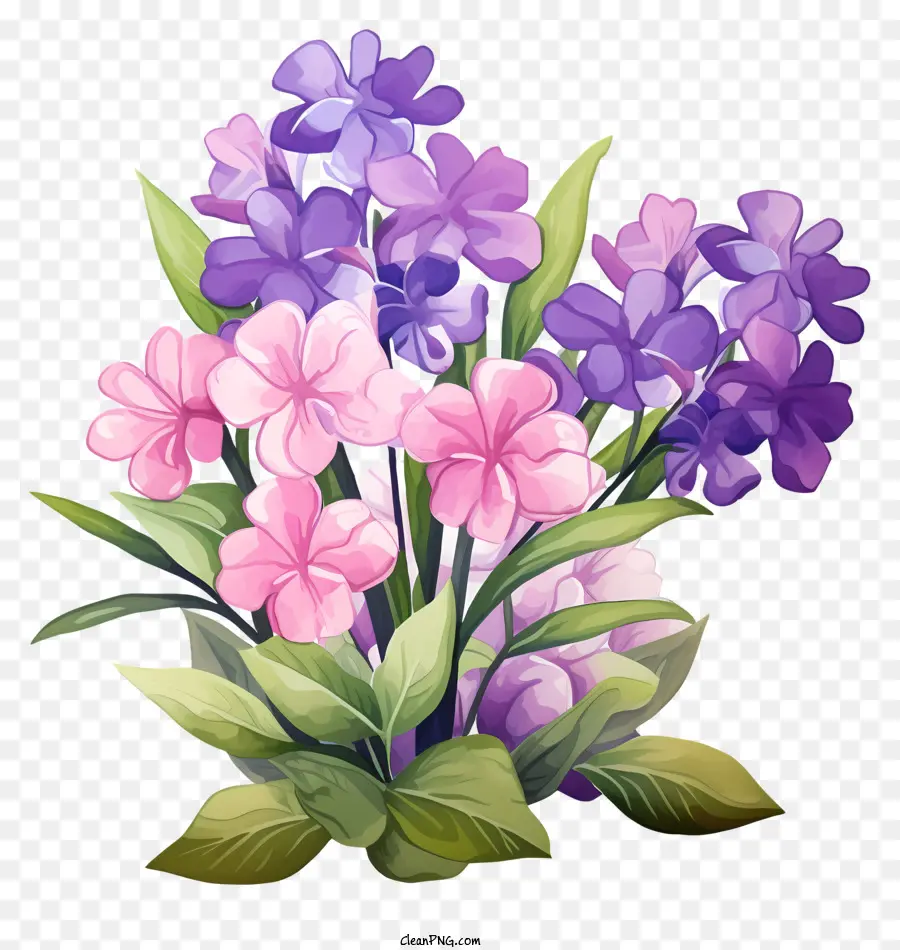 Fiori rosa e viola vaso bouquet vaso di vetro trasparente foglie verdi - Bouquet di fiori rosa e viola su nero