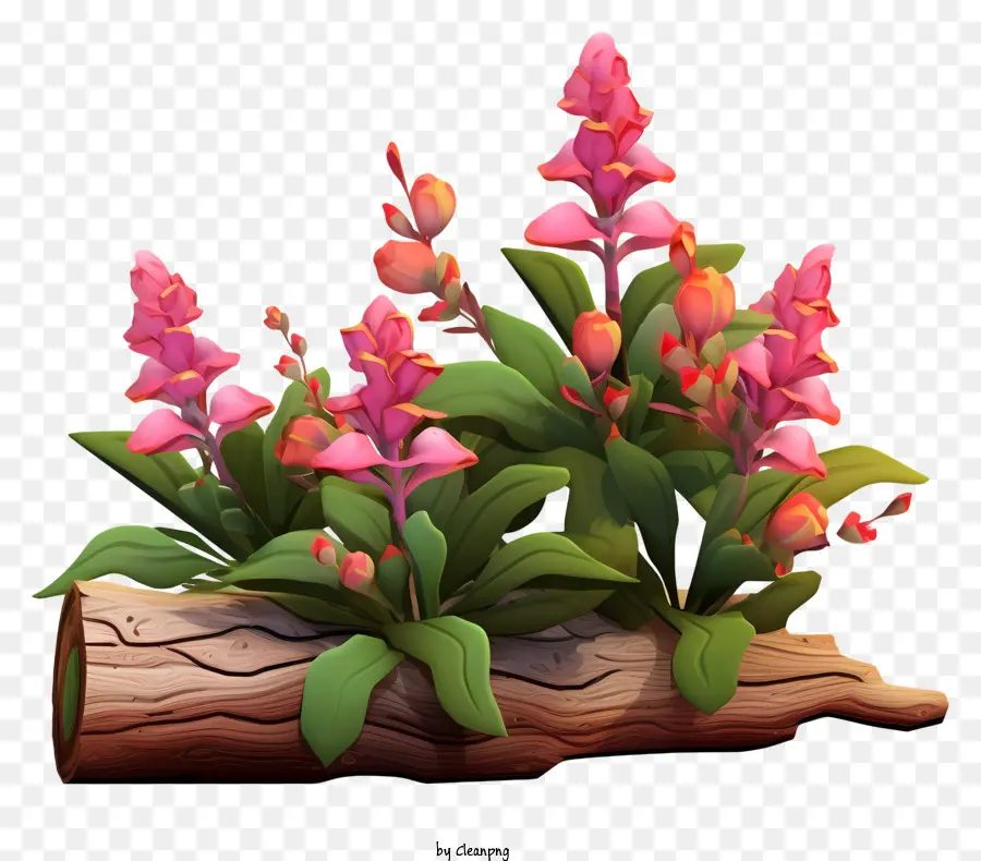 fiore rosa - Fiore rosa su tronchi di legno, nessun background