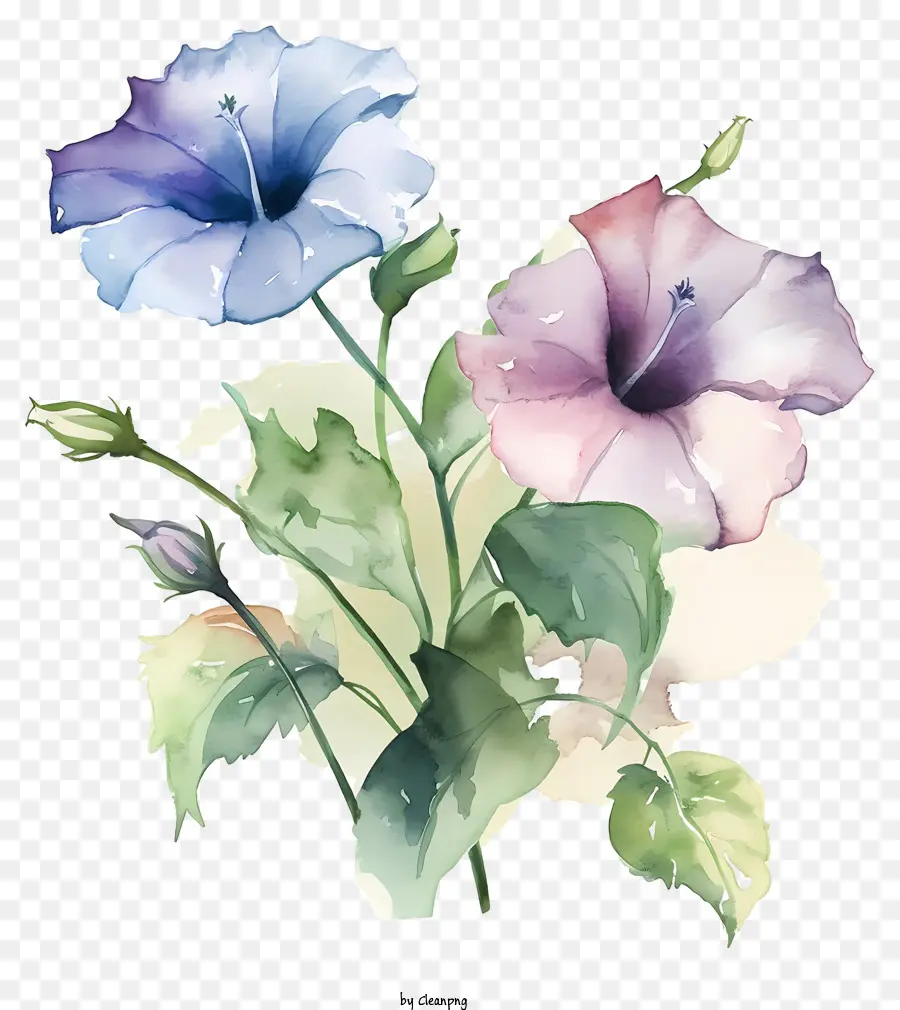 bouquet fiori viola fiori foglie verdi steli - Bouquet grande e non realistico di fiori viola e rosa