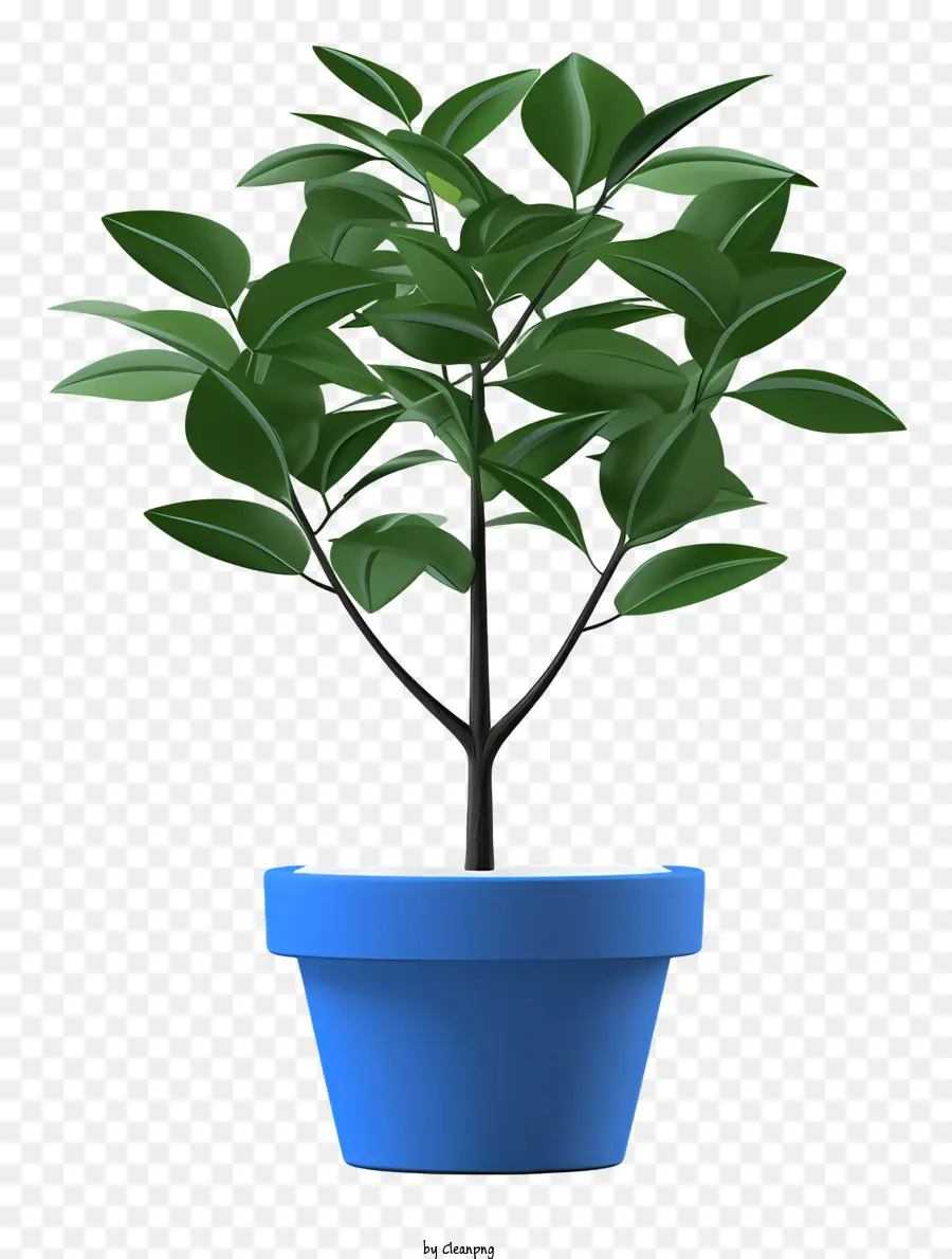pianta in vaso verde a foglia verde a foglie di sfondo nero foglie bordi - Pianta verde vaso realistica su sfondo nero
